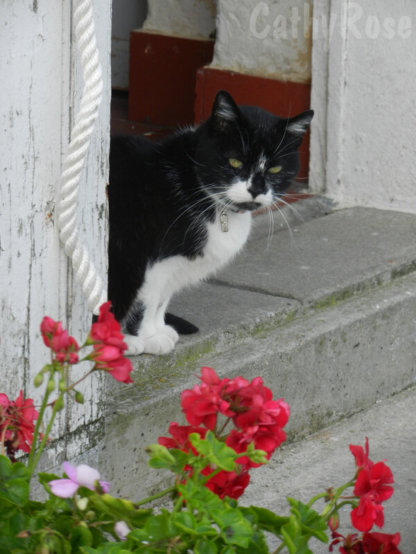 && Port en Bessin (17)