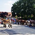 _IGP6294