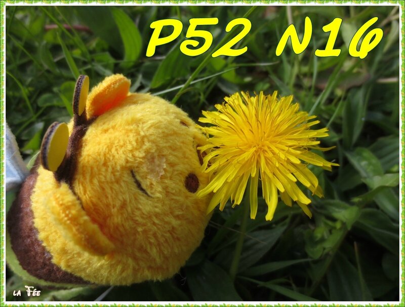 p52 n16