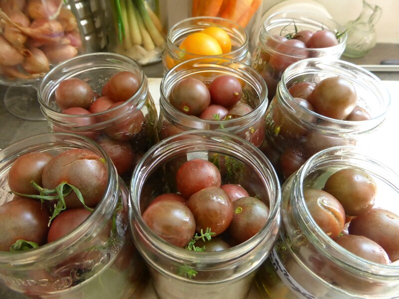 2-tomates cerises-conserves (6)