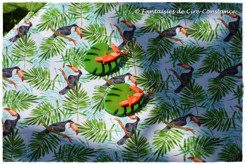 BO Tropical-2