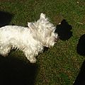 DSC06300