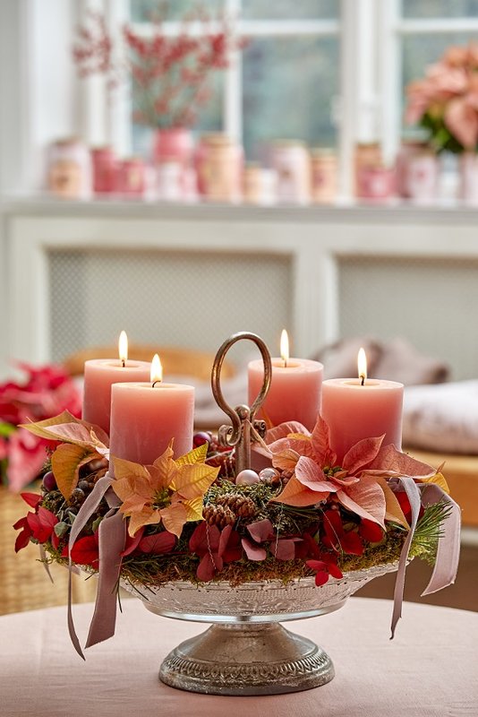 2022_poinsettia_04000_Christmas_Fairy_Tale_26__1_
