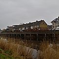 _IGP2981