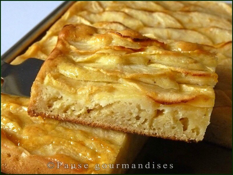 Pavé moelleux aux pommes (16)
