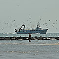 IMG_0440