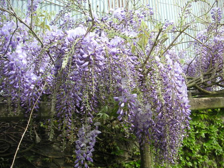 PICT0613