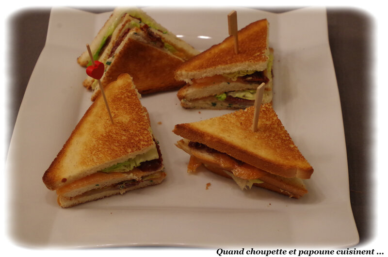 sandwich de saumon fumé-8330