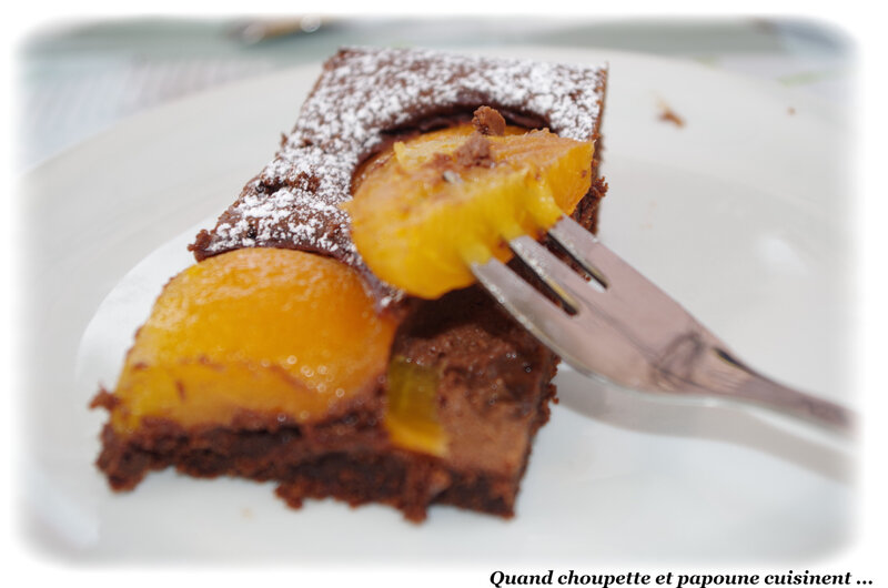 gâteau au chocolat et à l'abricot-0204