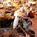 DSC06477
