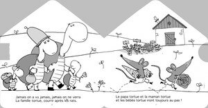 rough_chansontortue2