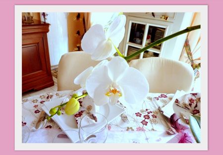table_elianeeeeeee7