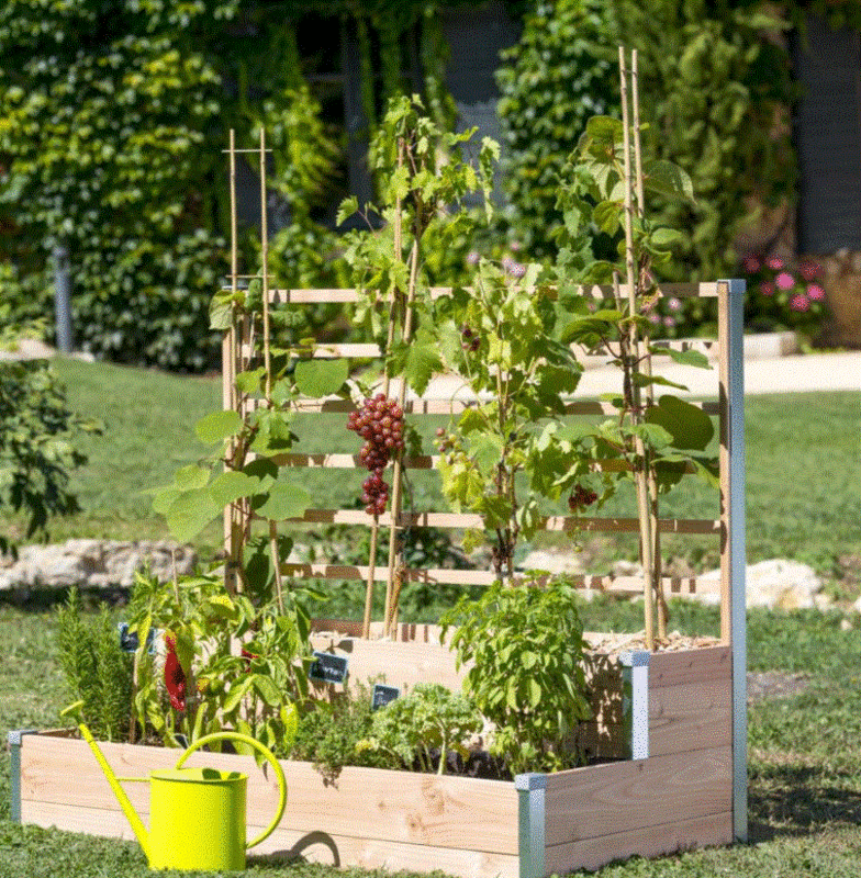 jardin1