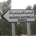 Reserve Naturelle Orbata 017