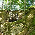 orle (48)