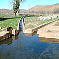 DSCF0135