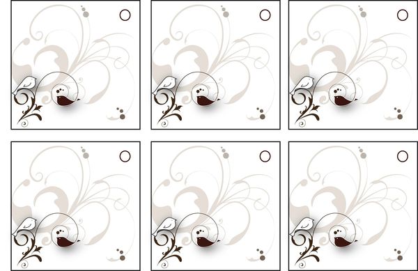 Birds jane austen 3