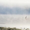 maine-bouchemaine15