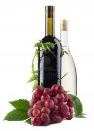vin2