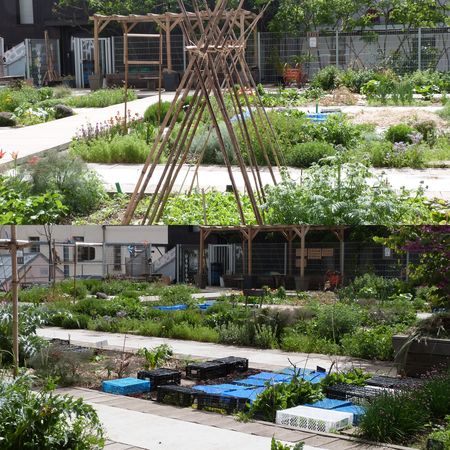 Jardin sur le toit 2