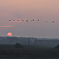 IMG_9167