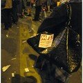 2007 : Images de campagne.