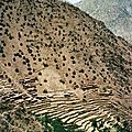 toubkal8