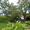P1210661 (Copier)