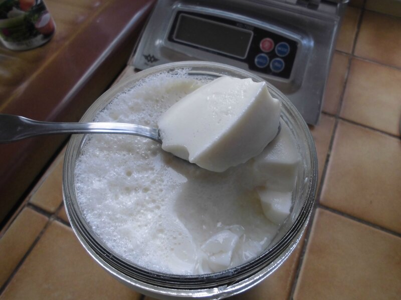 Tofu soyeux au GDL La cuisine végétale de Cristine