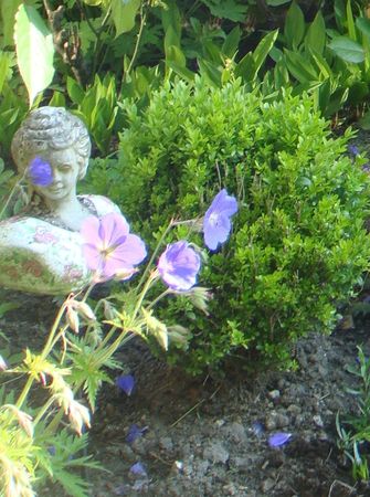 jardin-g