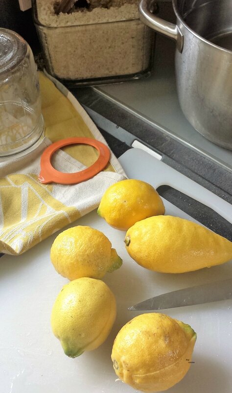 citrons lactofermentés (1)