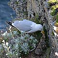 DSC_8419 copie