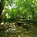 Lisle (24)