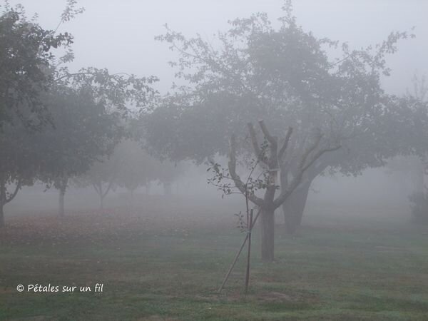 brouillard20 Oct18
