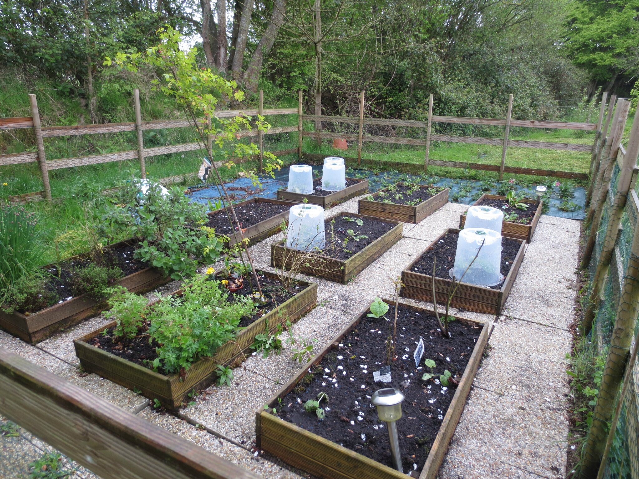 potager a la maison potager a la maison