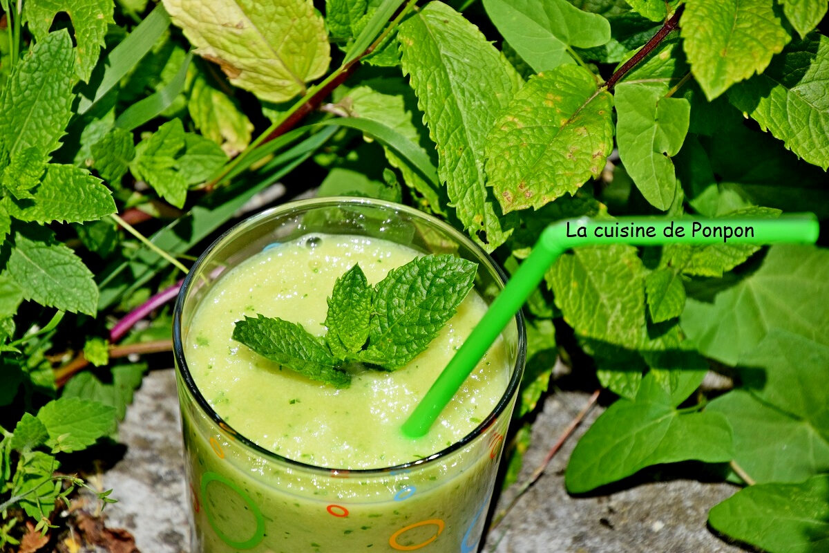 Gaspacho au melon vert, vegan La cuisine de Ponpon rapide et facile!
