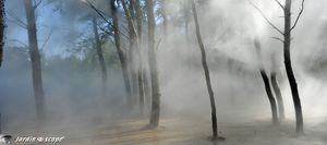 sculpture-de-brume-de-Fujiko-Nakaya-3