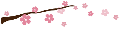 CherryBlossom-Divider