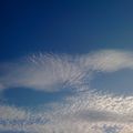 IMG_1136