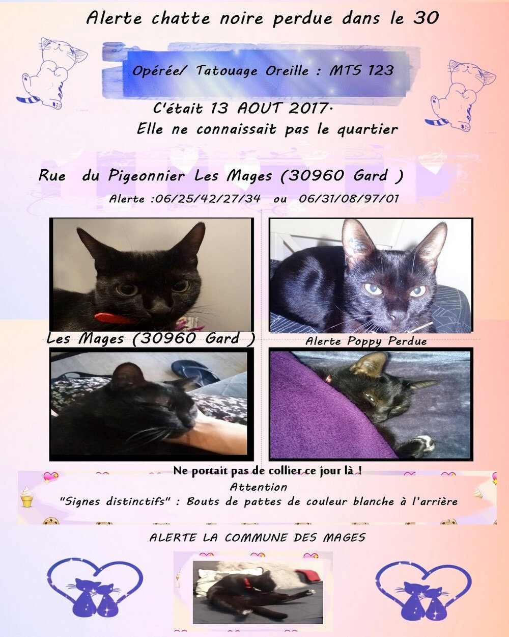 chatte et cum pics