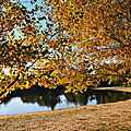 Lac des salettes à mormoiron : couleurs d'automne 