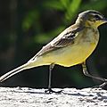 P1050662