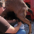 IMG_1378
