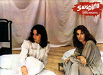 Suspiria lobby card espagnole 8
