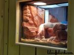 nurserie ferme crocodile 4