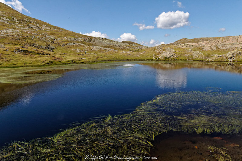 _MG_8984_DxO