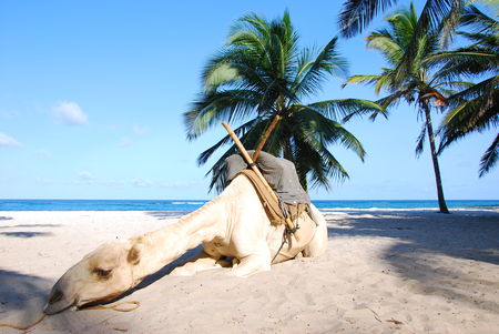 Kenya__889_