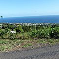 P1240381 (Copier)