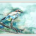 Oiseau le guêpier Aquarelle Ghislaine Letourneur d'après photo Cyril Doret