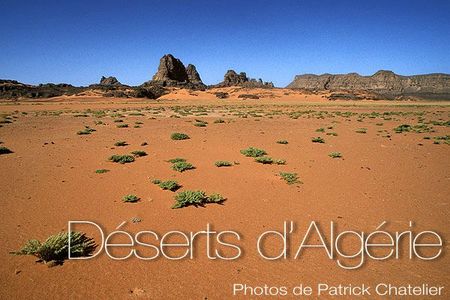 algerie_desert